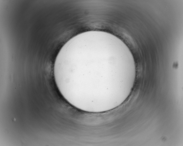 X0000103260029200809191729