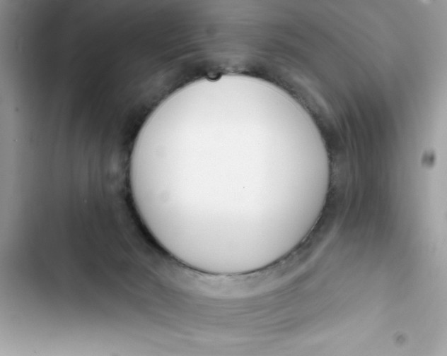 X0000103260030200809191729