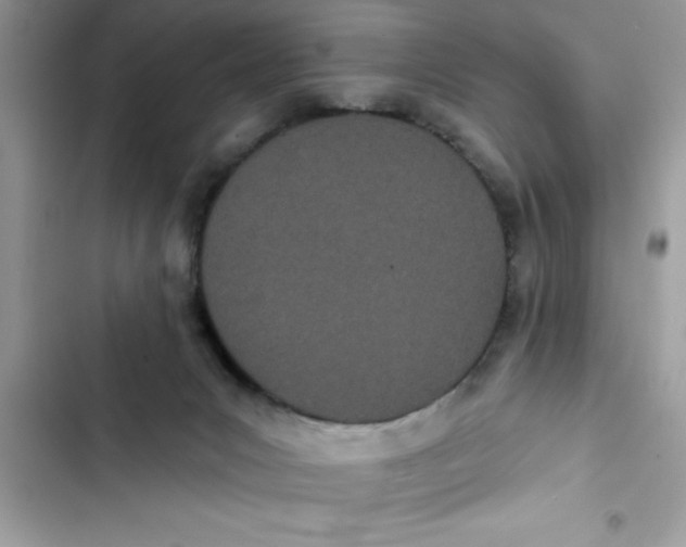 X0000103260031200809191729