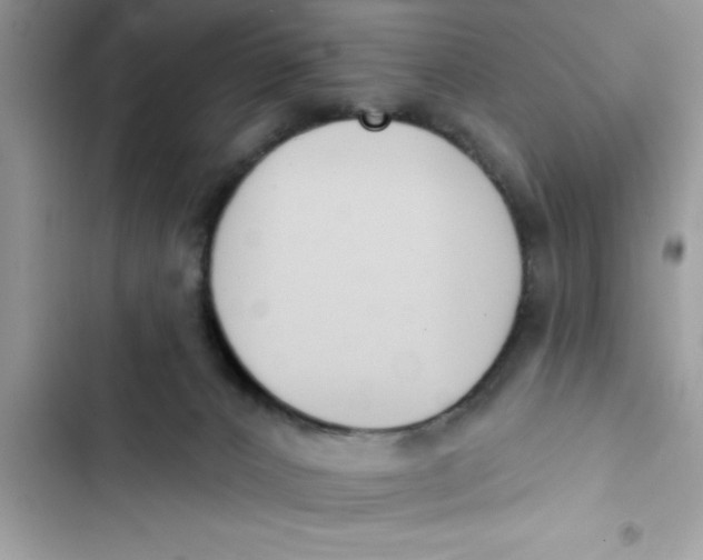 X0000103260032200809191729