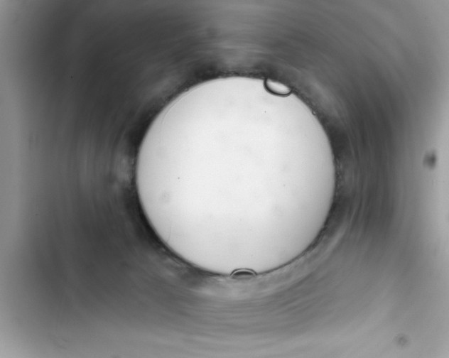 X0000103260033200809191729