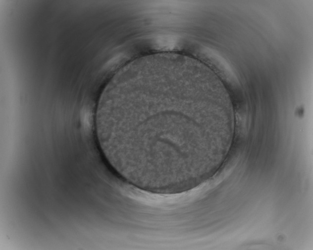 X0000103260035200809191729