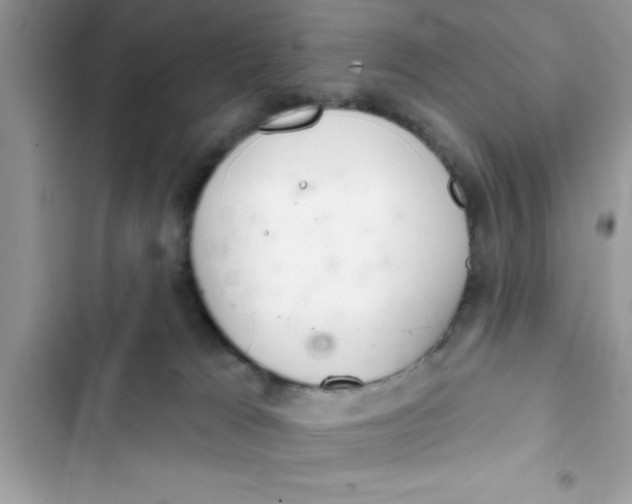 X0000103260037200809191729