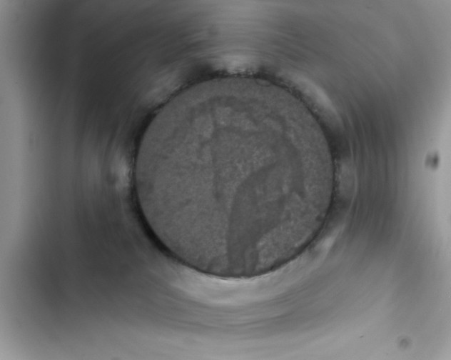 X0000103260039200809191729