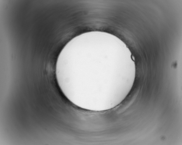 X0000103260040200809191729