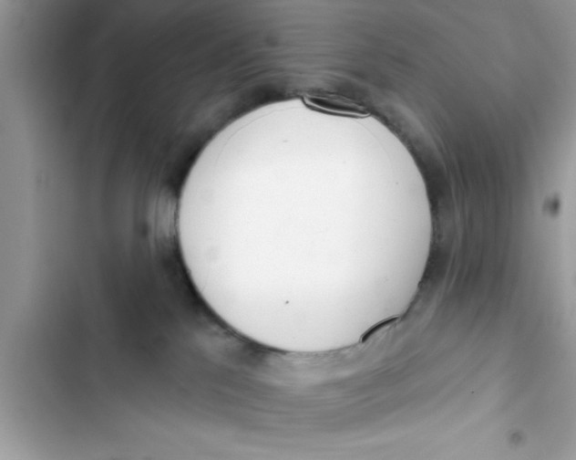 X0000103260041200809191729