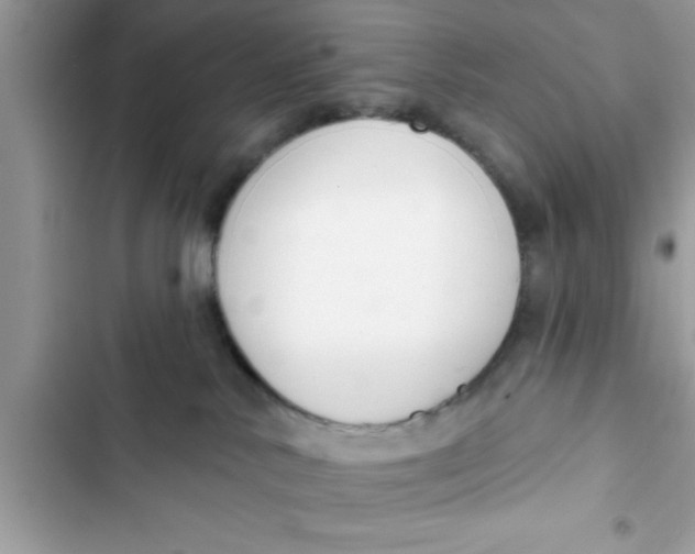 X0000103260042200809191729