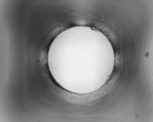 X0000103260043200809191729