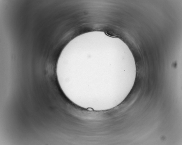 X0000103260044200809191729