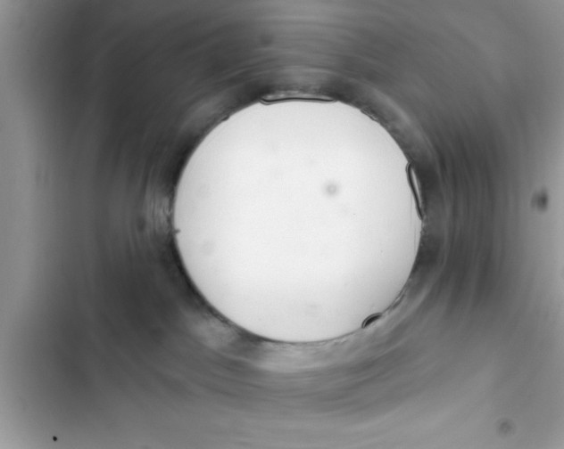 X0000103260045200809191729