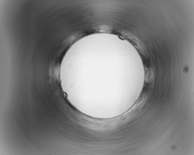 X0000103260047200809191729