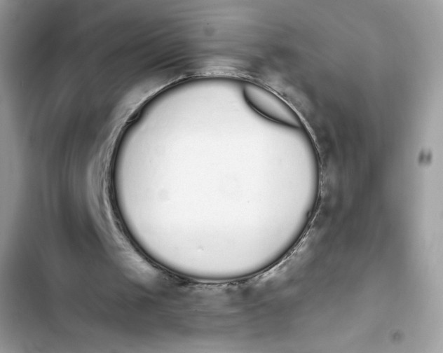 X0000103260049200809191728