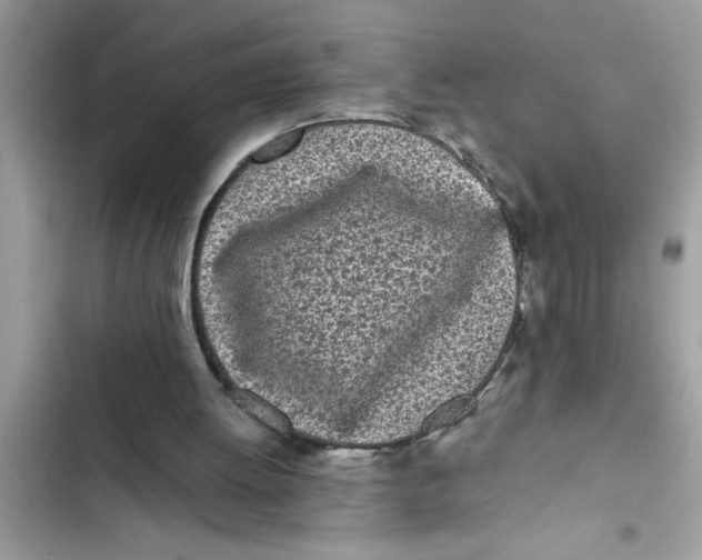 X0000103260052200809191728