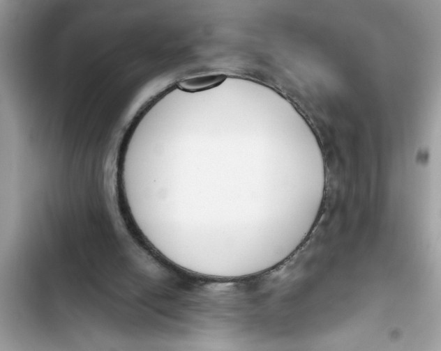 X0000103260054200809191728