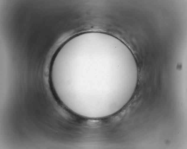 X0000103260055200809191728