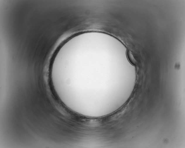 X0000103260056200809191728