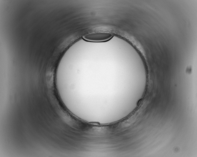 X0000103260057200809191728