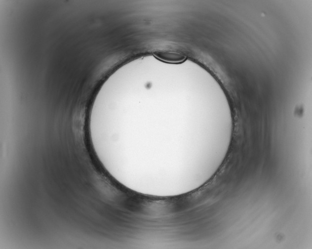 X0000103260058200809191728