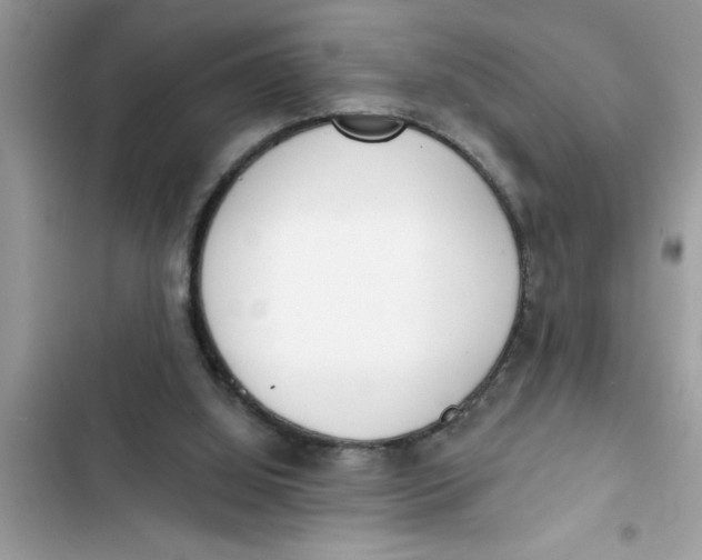 X0000103260060200809191728