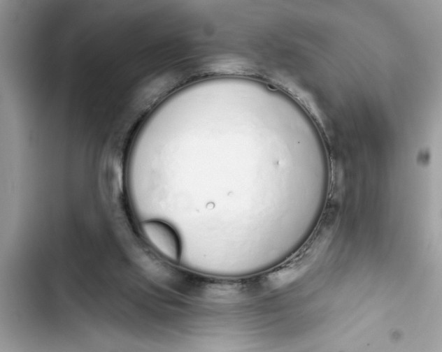 X0000103260061200809191728