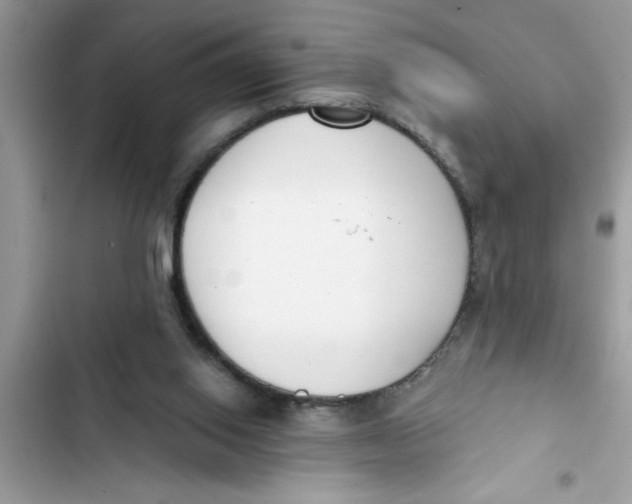 X0000103260062200809191728