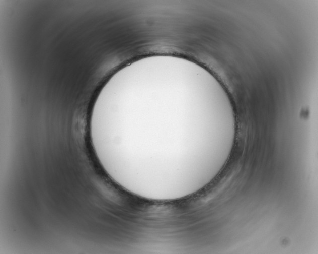 X0000103260063200809191728