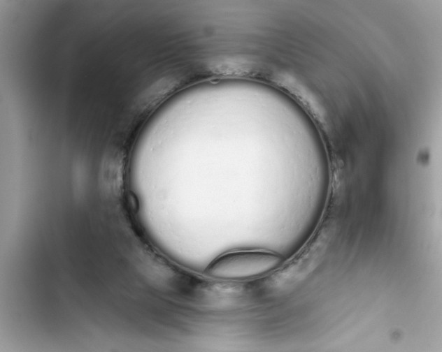 X0000103260065200809191728