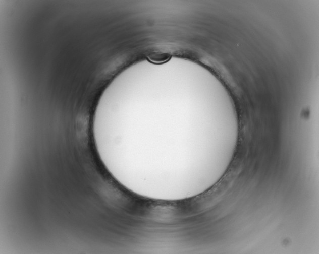 X0000103260066200809191728