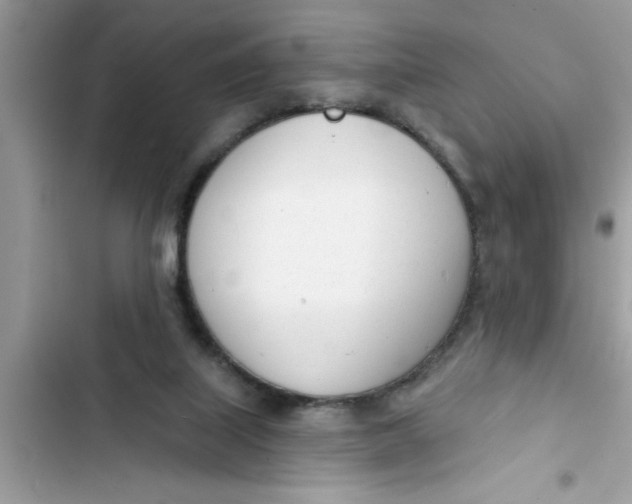 X0000103260067200809191728