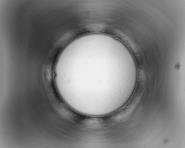 X0000103260069200809191728