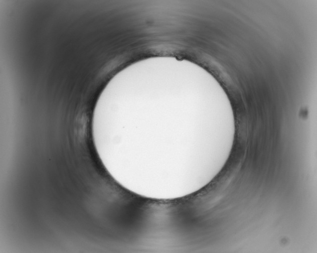 X0000103260071200809191728