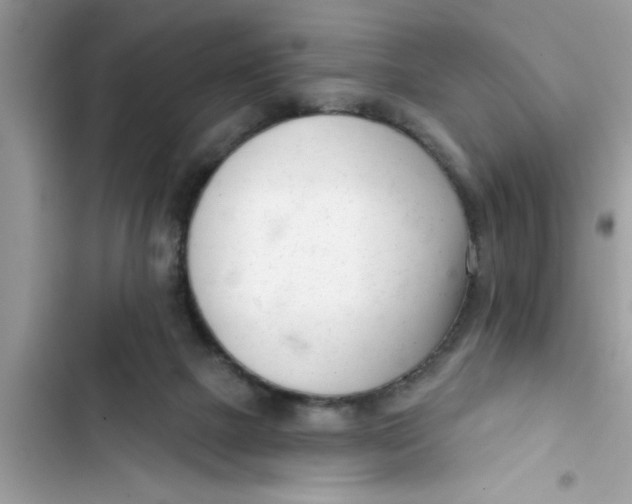 X0000103260073200809191729