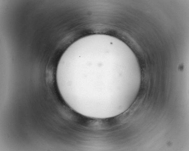 X0000103260074200809191729