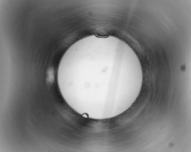 X0000103260075200809191729