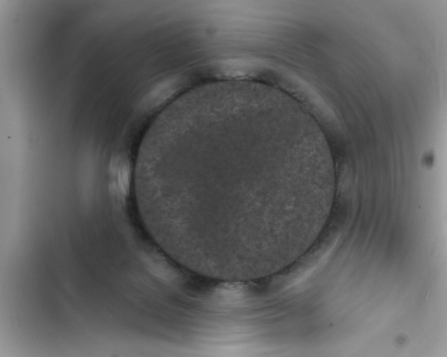 X0000103260076200809191729