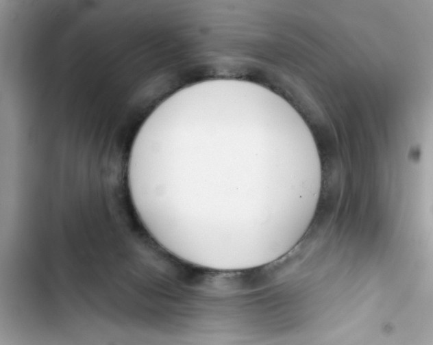 X0000103260078200809191729