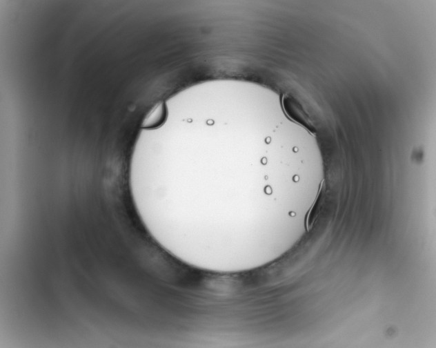 X0000103260079200809191729