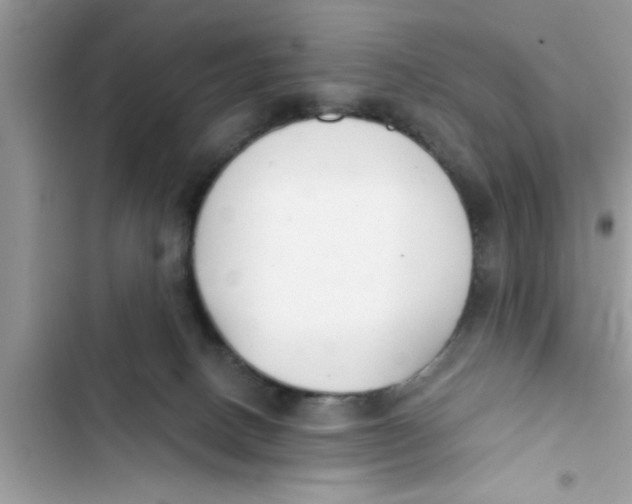 X0000103260082200809191729