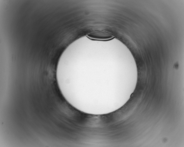 X0000103260083200809191729