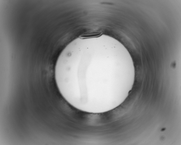 X0000103260085200809191729