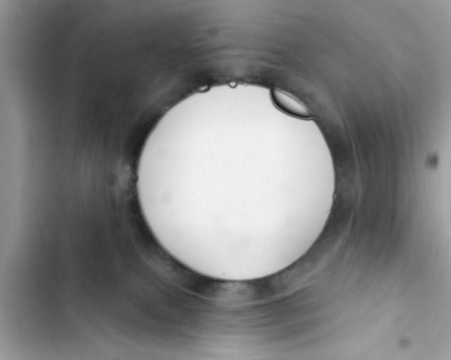 X0000103260087200809191729