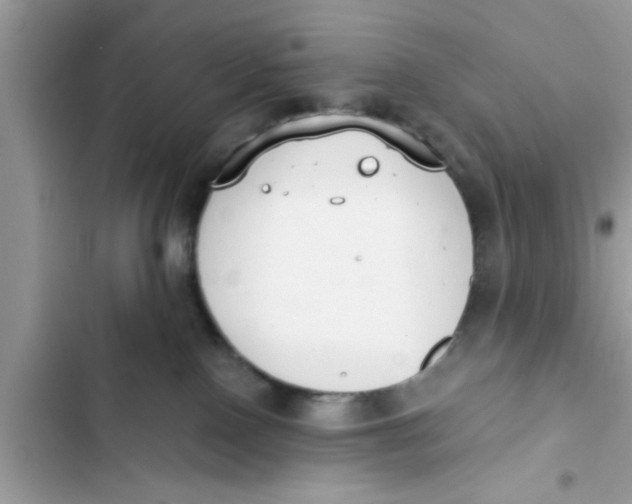 X0000103260090200809191729