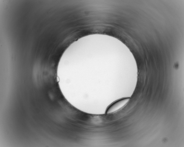 X0000103260091200809191729