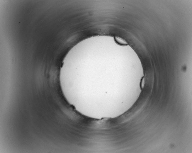 X0000103260092200809191729