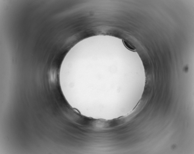 X0000103260094200809191729