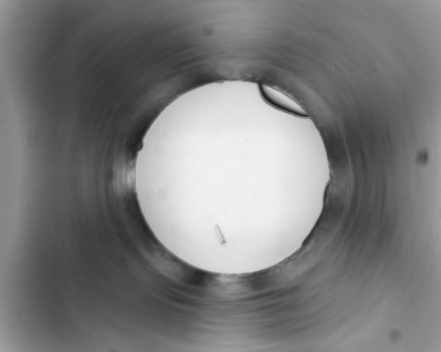 X0000103260095200809191729