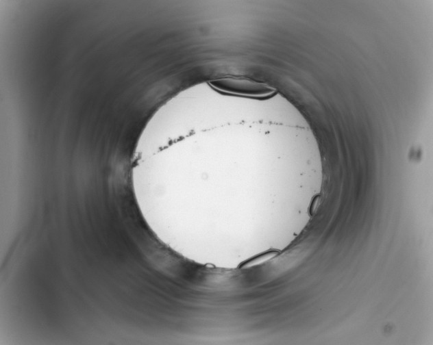 X0000103260096200809191729