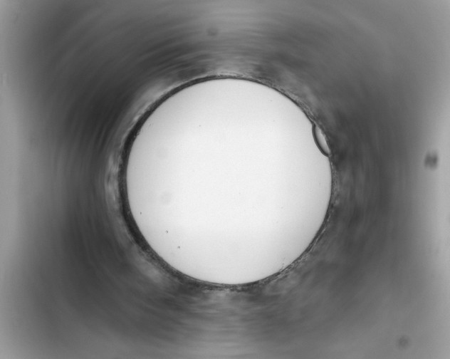 X0000103260098200809191728