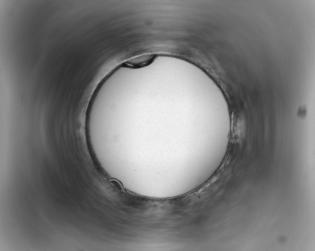 X0000103260099200809191728