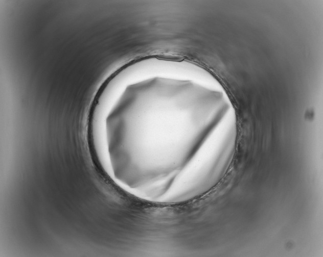 X0000103260100200809191728